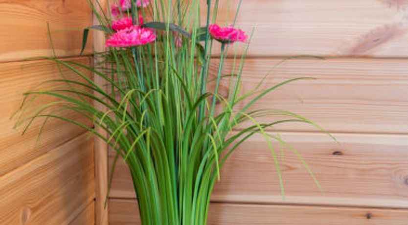 Photo of Loch Leven Lodge 21