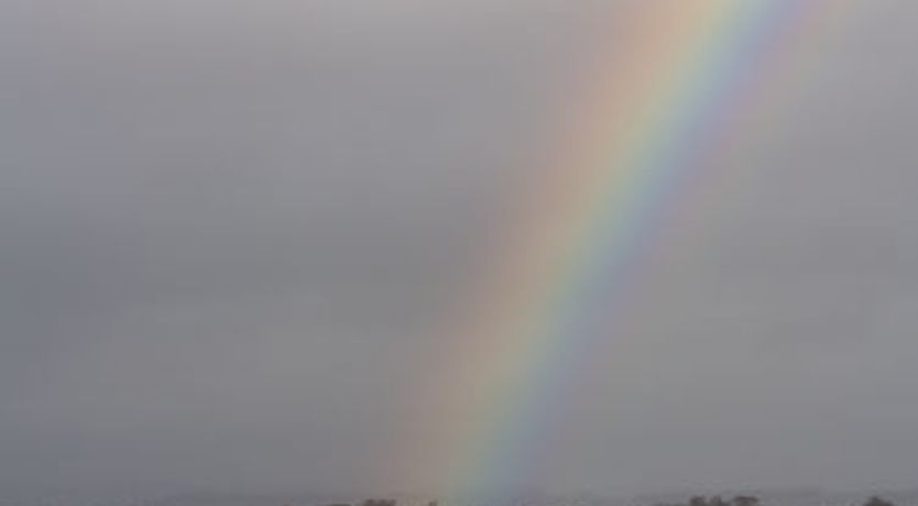 Photo of Loch Leven Lodge 21