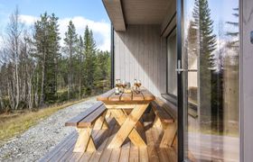 Photo of tannaskroket-renstraket-4