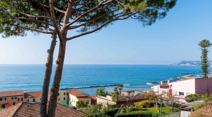 Photo of Il Piccolo Ulivo