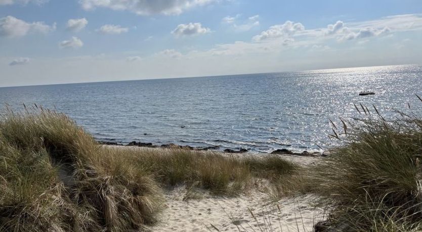 Photo of "Eick" - 800m from the sea