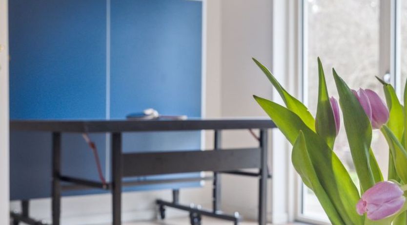 Photo of "Troels" - 1.2km from the sea