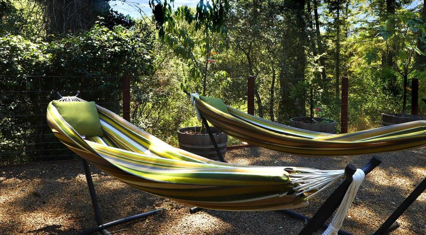 Photo of Run Russian River Run