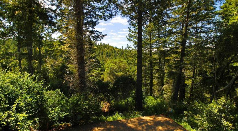 Photo of Run Russian River Run