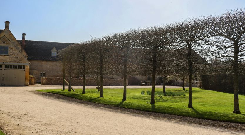 Photo of The Wool Merchant