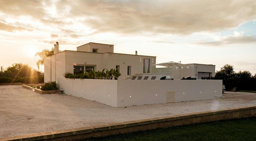 Photo of The Olive Whisper