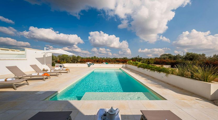 Photo of The Olive Whisper