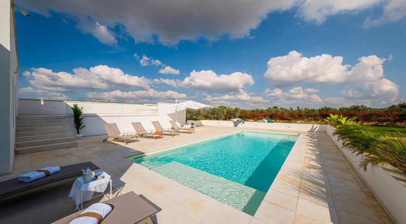 Photo of The Olive Whisper