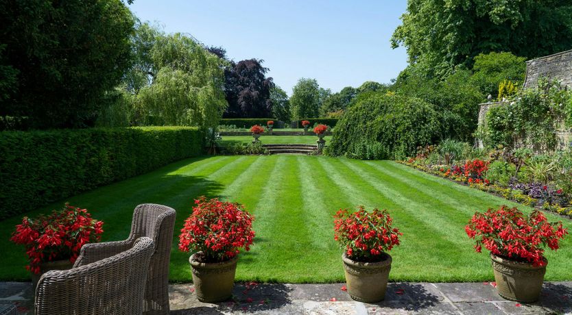 Photo of The Light of Nature