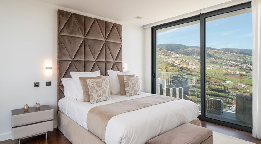 Photo of Dragonfly Flutter