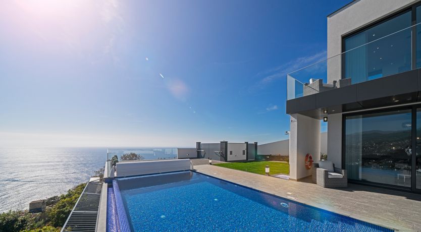 Photo of Dragonfly Flutter