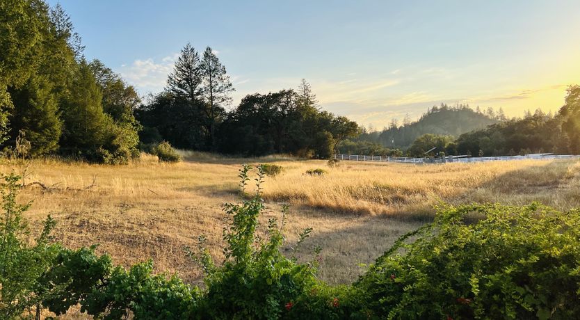 Photo of If You Come Back to California