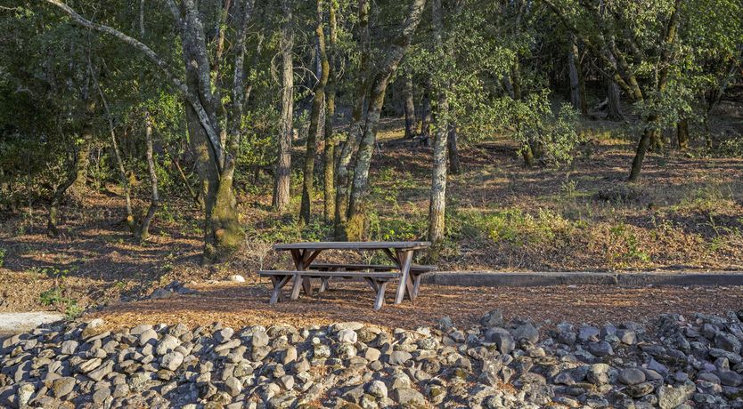 Photo of If You Come Back to California