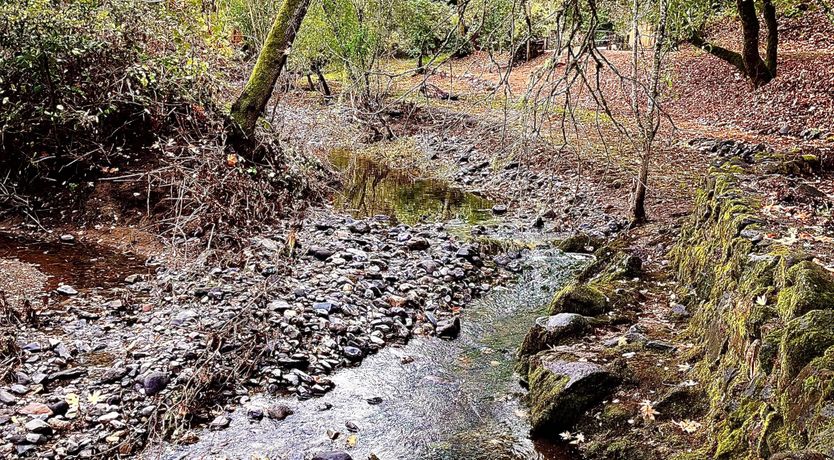 Photo of If You Come Back to California