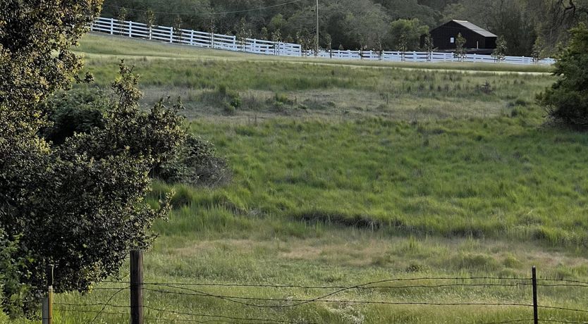 Photo of If You Come Back to California