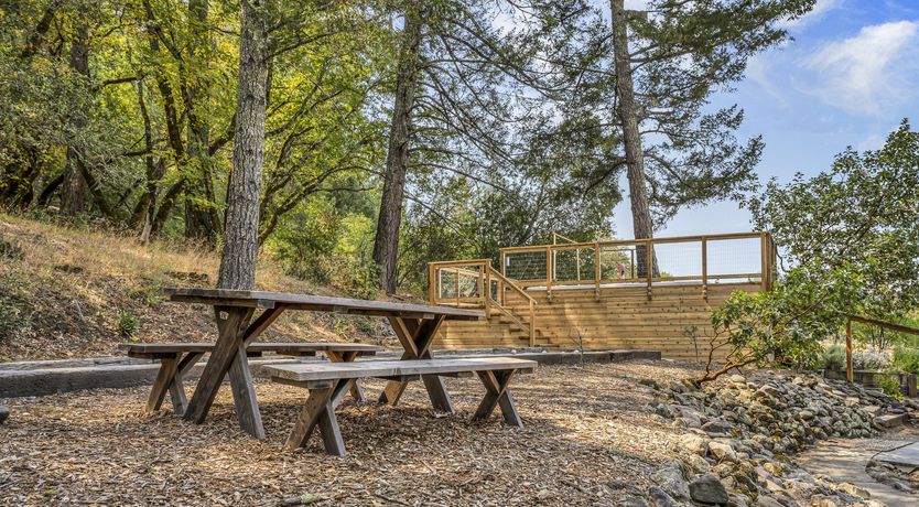 Photo of If You Come Back to California