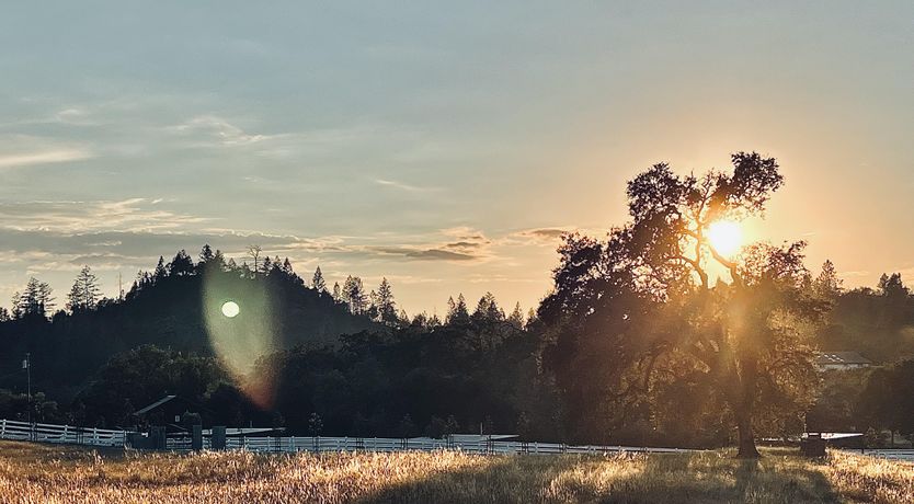 Photo of If You Come Back to California