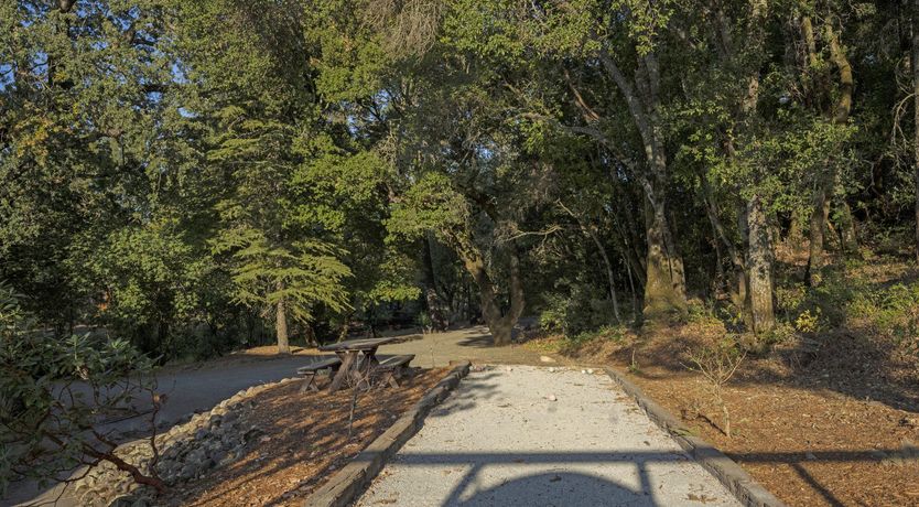 Photo of If You Come Back to California