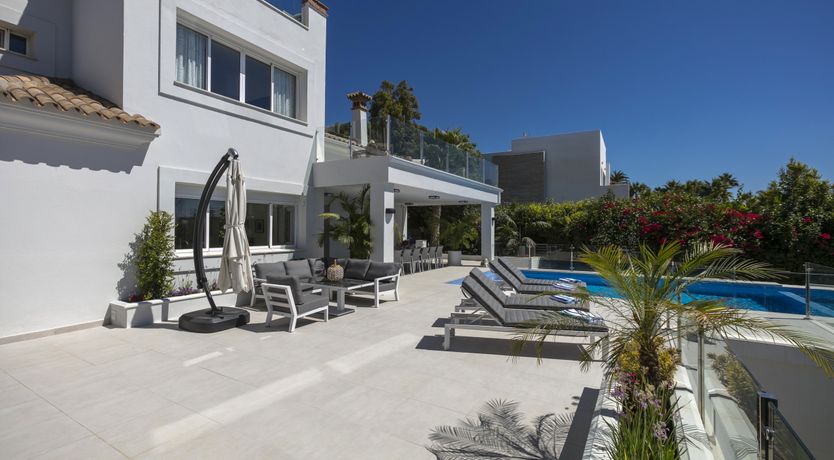 Photo of Blue Blossom