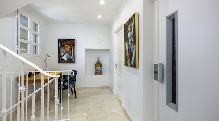 Photo of Blue Blossom