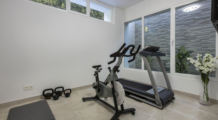 Photo of Blue Blossom