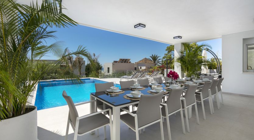 Photo of Blue Blossom