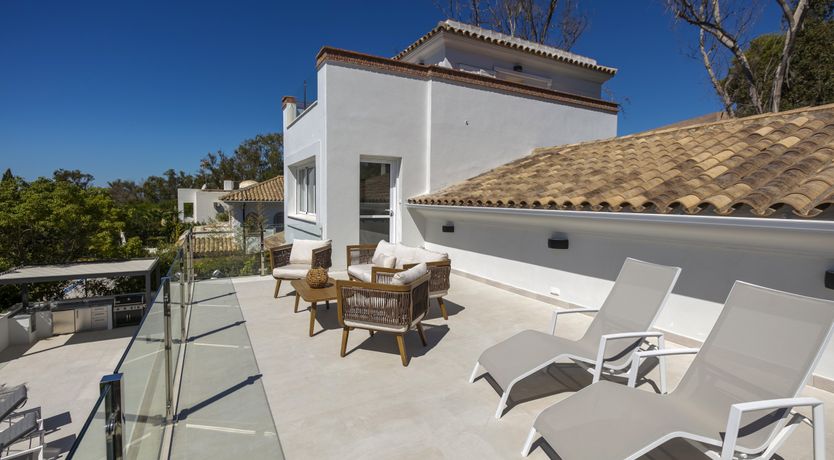 Photo of Blue Blossom