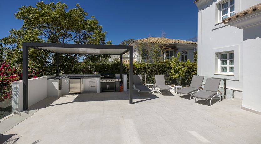 Photo of Blue Blossom