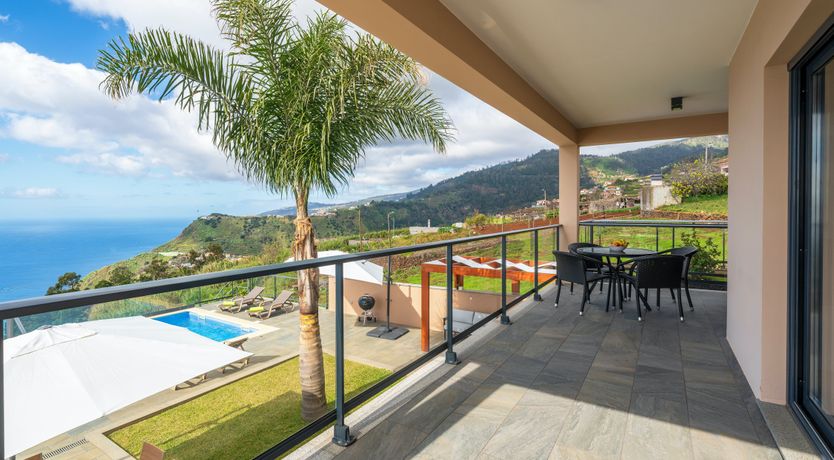 Photo of The Island Bird