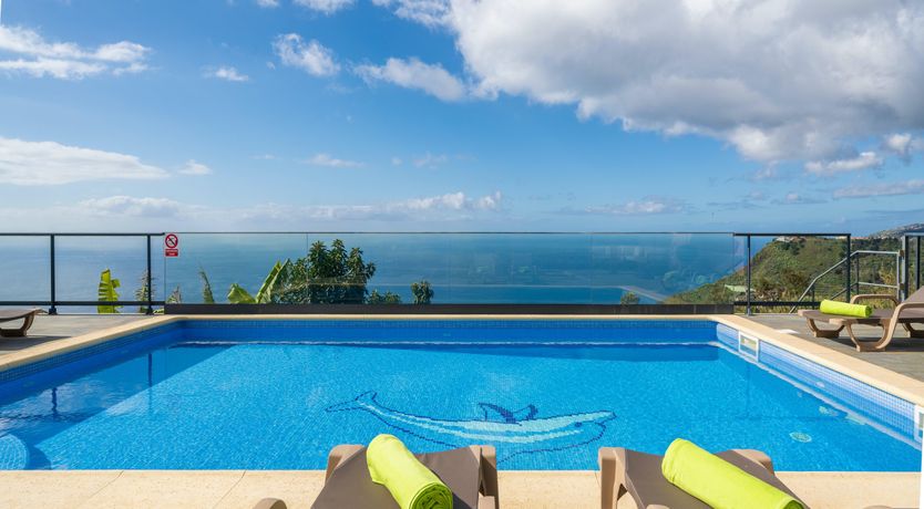 Photo of The Island Bird