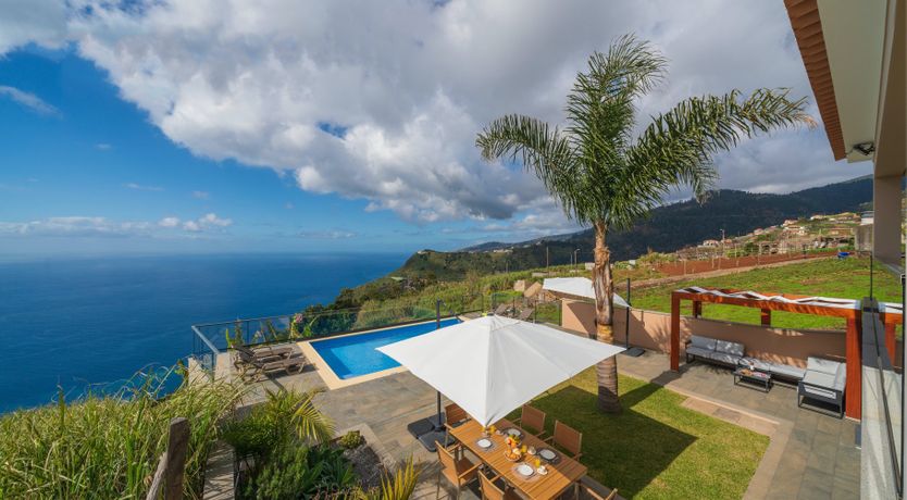 Photo of The Island Bird