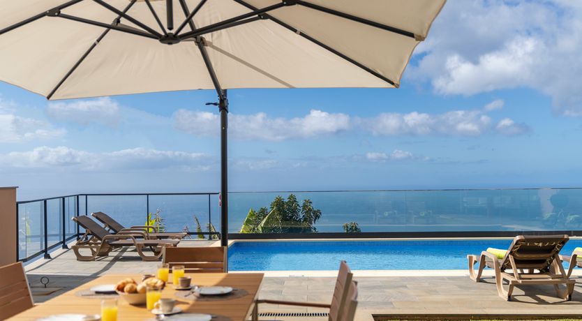 Photo of The Island Bird