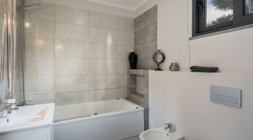 Photo of The Island Bird