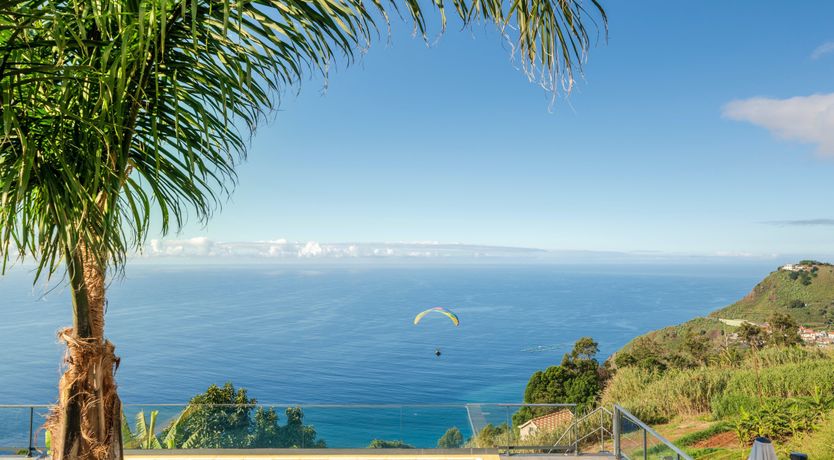 Photo of The Island Bird