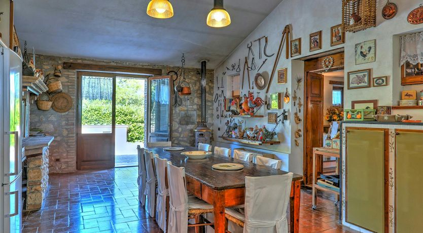 Photo of New Perspective