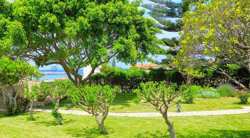 Photo of Daydreams of Gold