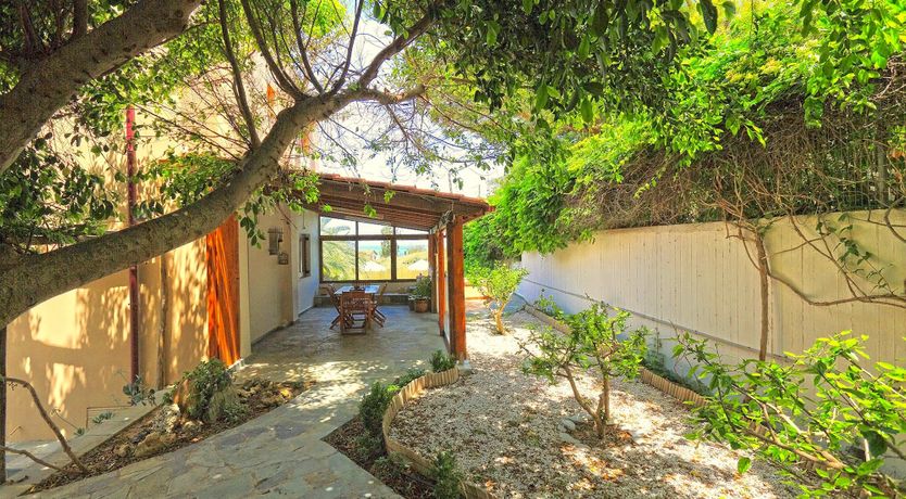 Photo of Daydreams of Gold