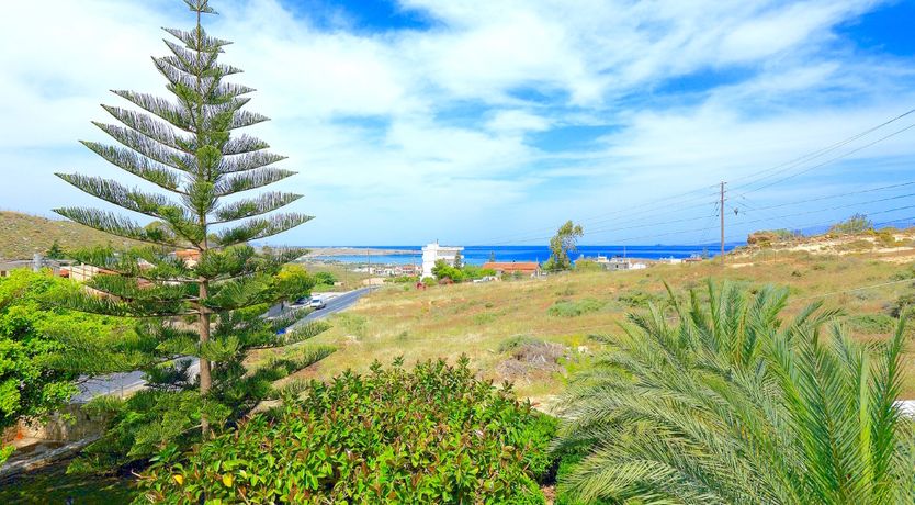 Photo of Daydreams of Gold