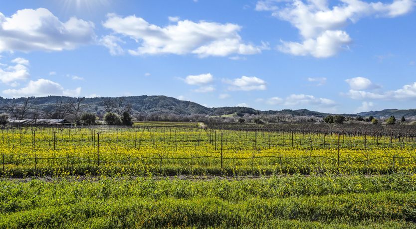 Photo of Cabernet Cottage