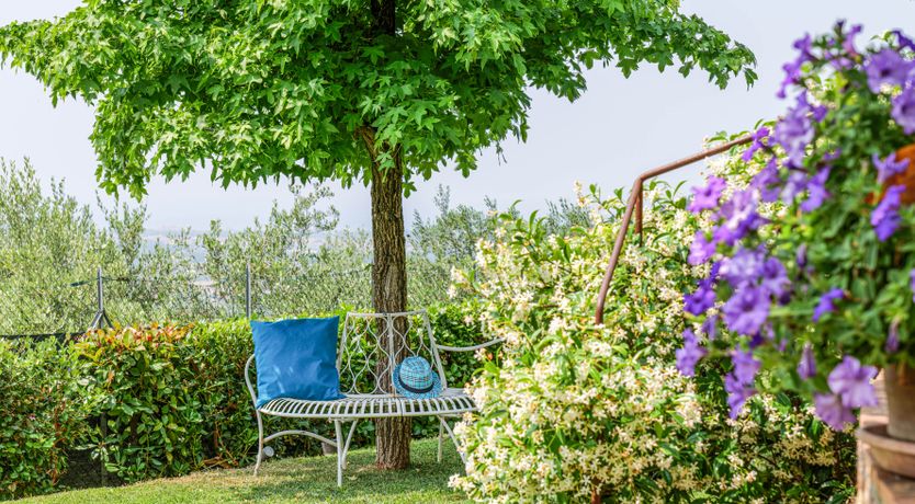 Photo of Versilia Viewpoint