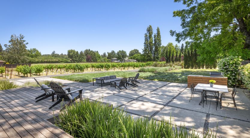 Photo of Climb the Vine