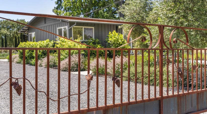 Photo of Climb the Vine