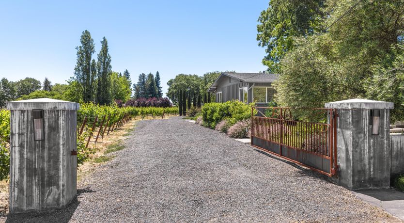 Photo of Climb the Vine