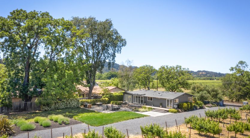 Photo of Climb the Vine