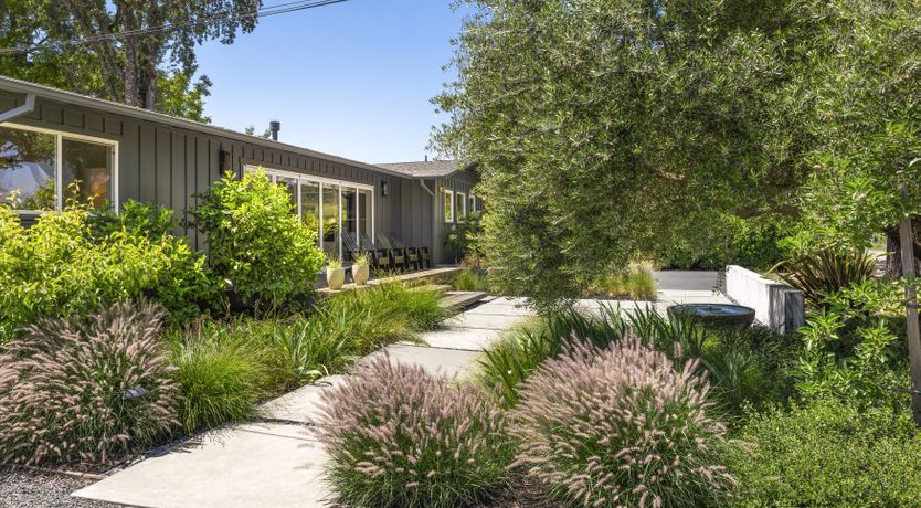 Photo of Climb the Vine