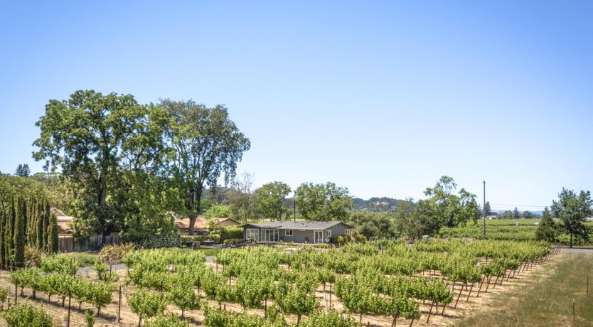 Photo of Climb the Vine