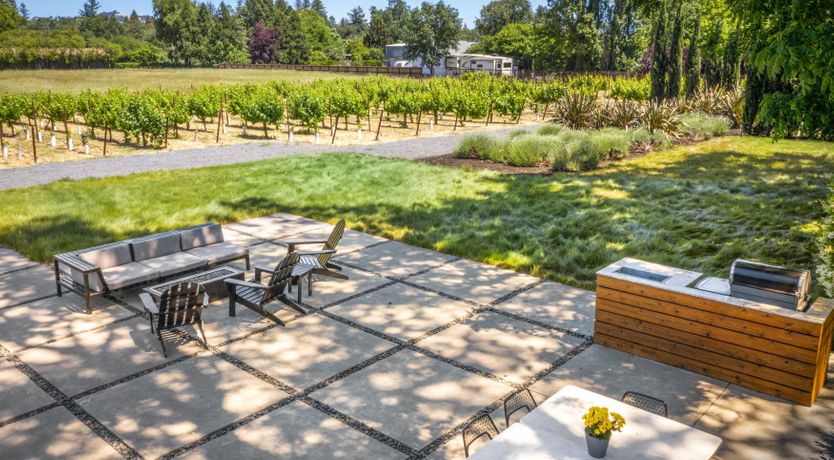 Photo of Climb the Vine