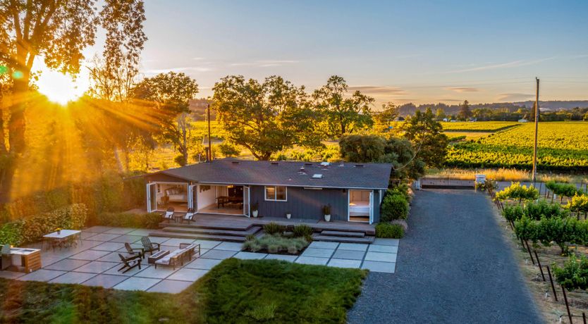 Photo of Climb the Vine