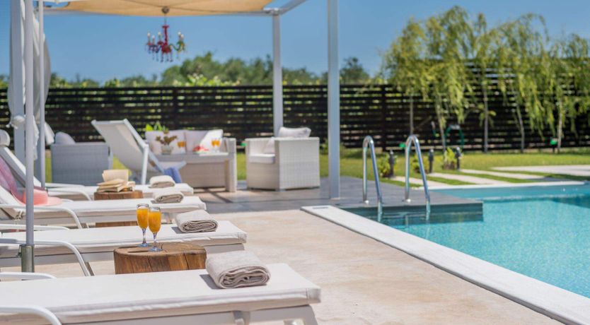 Photo of It's in the Vineyards