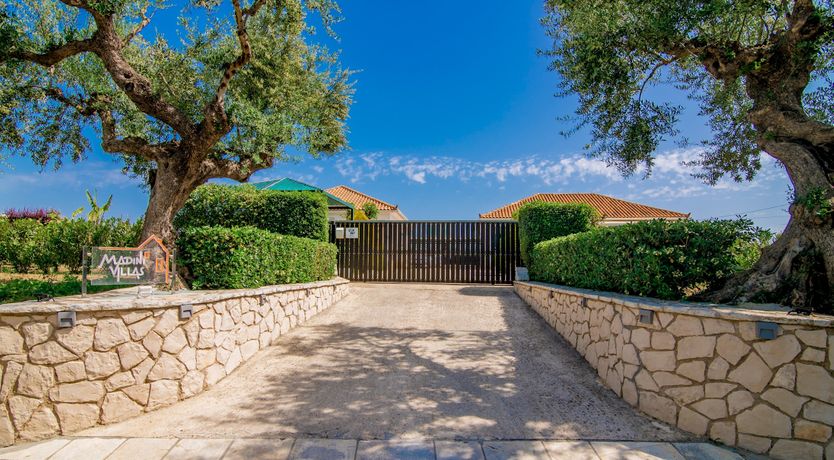 Photo of It's in the Vineyards